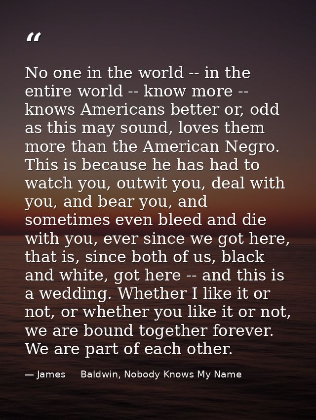 No one in the world -- in the entire world -- know more -- knows Americans better or, odd as this may sound, loves them  — James     Baldwin, Nobody Knows My Name