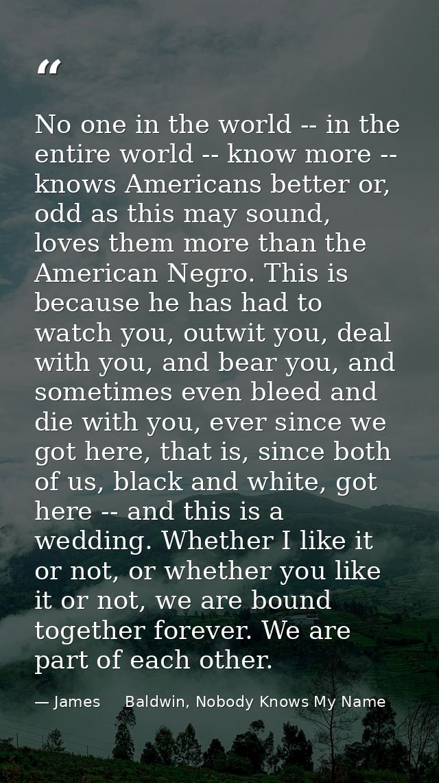 No one in the world -- in the entire world -- know more -- knows Americans better or, odd as this may sound, loves them  — James     Baldwin, Nobody Knows My Name