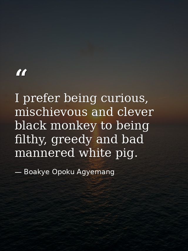 I prefer being curious, mischievous and clever black monkey to being filthy, greedy and bad mannered white pig. — Boakye Opoku Agyemang