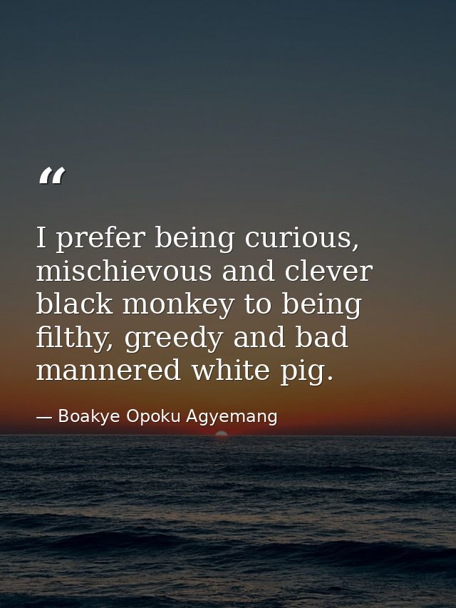 I prefer being curious, mischievous and clever black monkey to being filthy, greedy and bad mannered white pig. — Boakye Opoku Agyemang