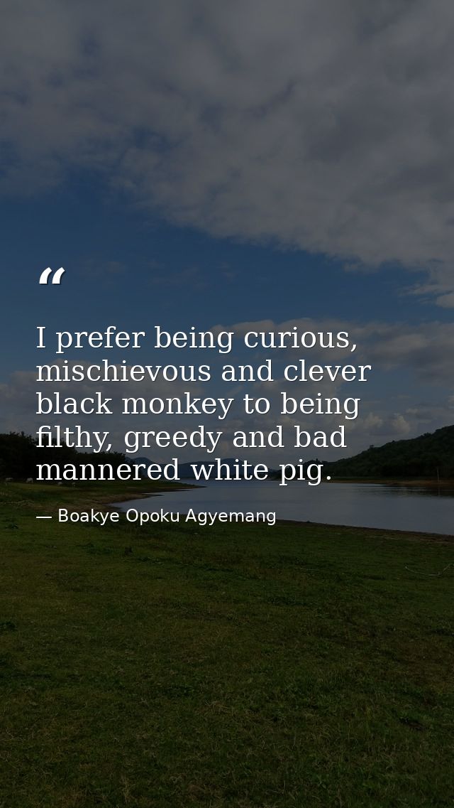 I prefer being curious, mischievous and clever black monkey to being filthy, greedy and bad mannered white pig. — Boakye Opoku Agyemang