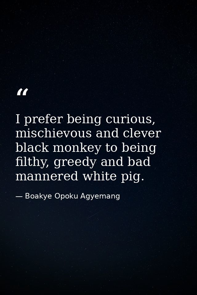 I prefer being curious, mischievous and clever black monkey to being filthy, greedy and bad mannered white pig. — Boakye Opoku Agyemang