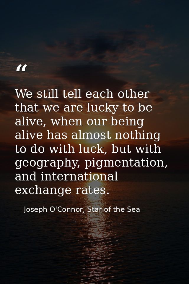 We still tell each other that we are lucky to be alive, when our being alive has almost nothing to do with luck, but wit — Joseph O'Connor, Star of the Sea