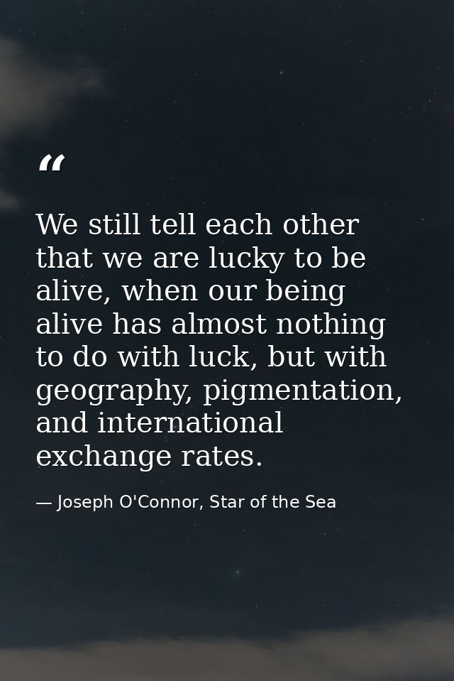 We still tell each other that we are lucky to be alive, when our being alive has almost nothing to do with luck, but wit — Joseph O'Connor, Star of the Sea