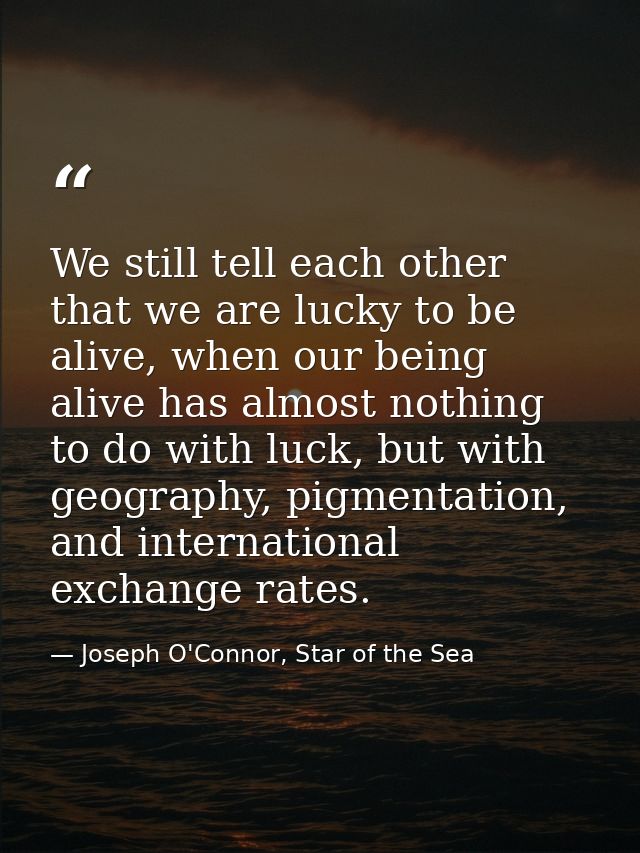 We still tell each other that we are lucky to be alive, when our being alive has almost nothing to do with luck, but wit — Joseph O'Connor, Star of the Sea