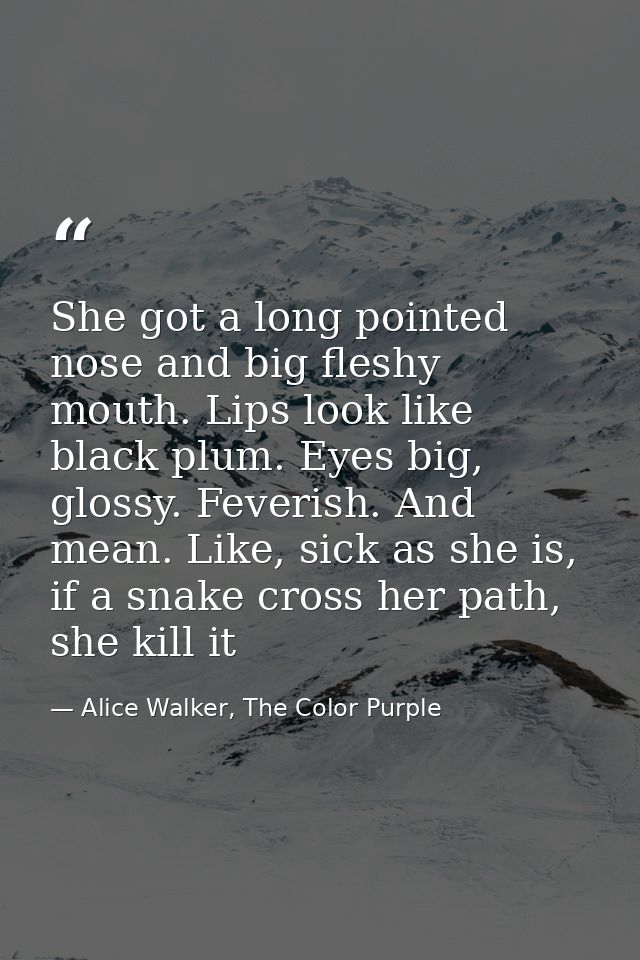 She got a long pointed nose and big fleshy mouth. Lips look like black plum. Eyes big, glossy. Feverish. And mean. Like, — Alice Walker, The Color Purple