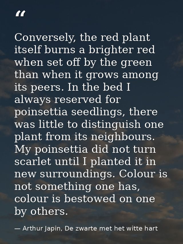 Conversely, the red plant itself burns a brighter red when set off by the green than when it grows among its peers. In t — Arthur Japin, De zwarte met het witte hart