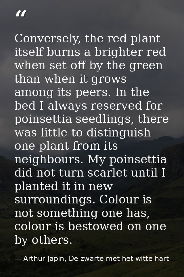 Conversely, the red plant itself burns a brighter red when set off by the green than when it grows among its peers. In t — Arthur Japin, De zwarte met het witte hart