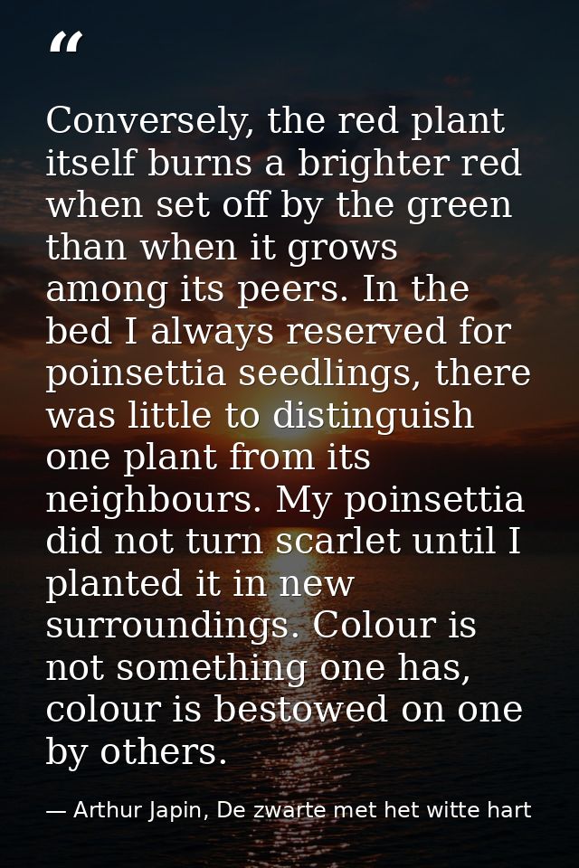 Conversely, the red plant itself burns a brighter red when set off by the green than when it grows among its peers. In t — Arthur Japin, De zwarte met het witte hart