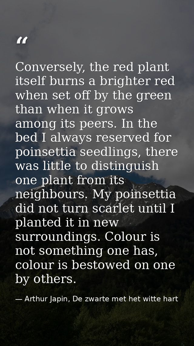 Conversely, the red plant itself burns a brighter red when set off by the green than when it grows among its peers. In t — Arthur Japin, De zwarte met het witte hart