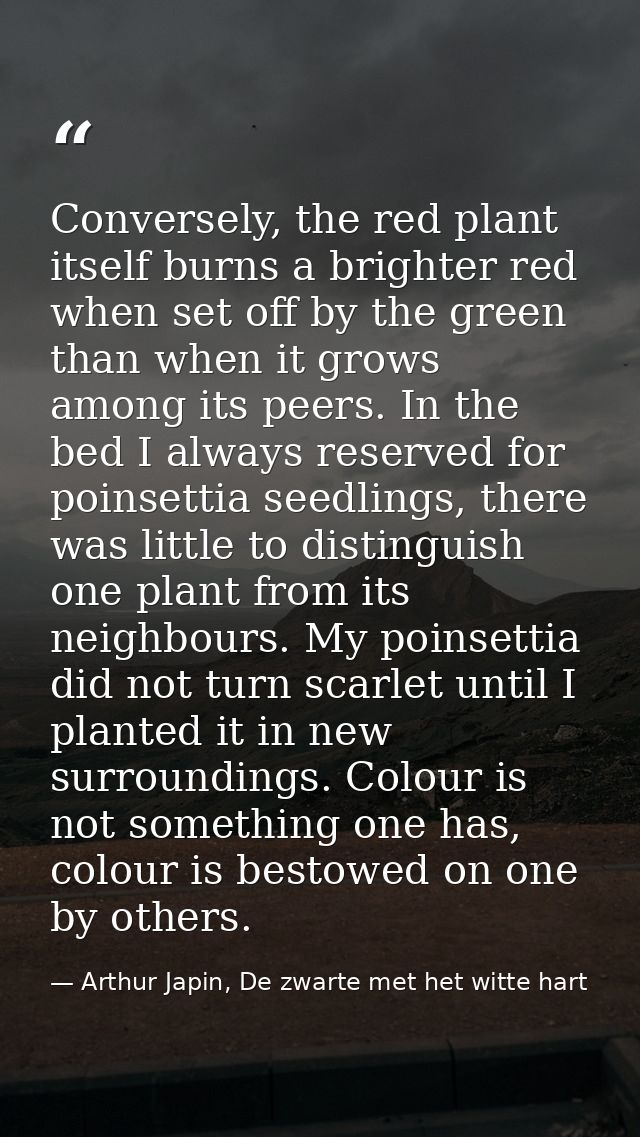 Conversely, the red plant itself burns a brighter red when set off by the green than when it grows among its peers. In t — Arthur Japin, De zwarte met het witte hart