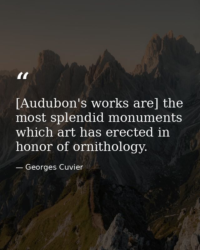 [Audubon's works are] the most splendid monuments which art has erected in honor of ornithology. — Georges Cuvier
