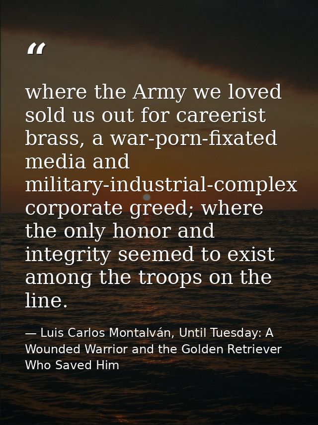 where the Army we loved sold us out for careerist brass, a war-porn-fixated media and military-industrial-complex corpor — Luis Carlos Montalván, Until Tuesday: A Wounded Warrior and the Golden Retriever Who Saved Him