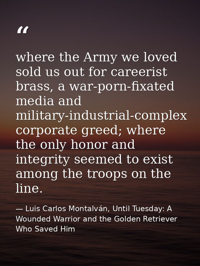 where the Army we loved sold us out for careerist brass, a war-porn-fixated media and military-industrial-complex corpor — Luis Carlos Montalván, Until Tuesday: A Wounded Warrior and the Golden Retriever Who Saved Him