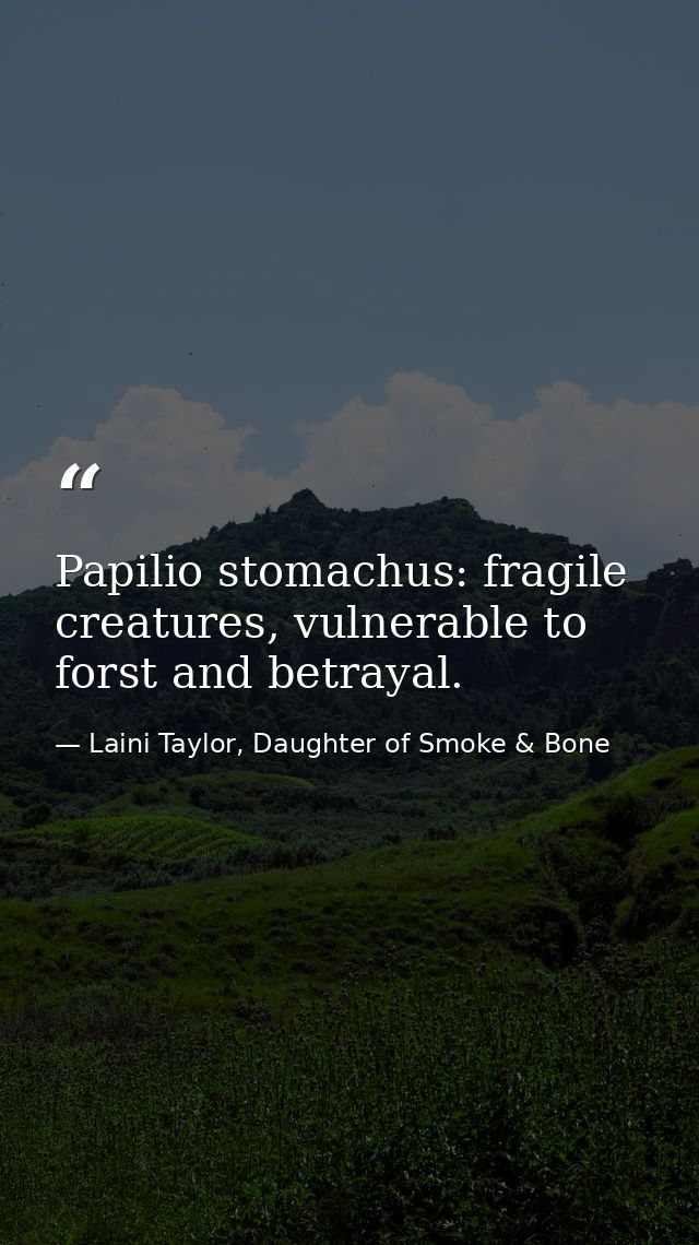 Papilio stomachus: fragile creatures, vulnerable to forst and betrayal. — Laini Taylor, Daughter of Smoke & Bone