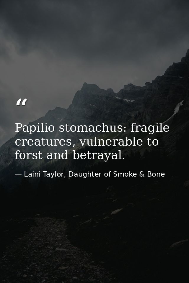 Papilio stomachus: fragile creatures, vulnerable to forst and betrayal. — Laini Taylor, Daughter of Smoke & Bone