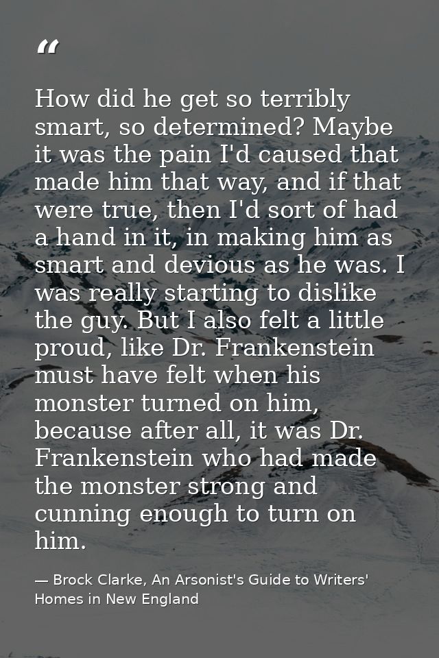 How did he get so terribly smart, so determined? Maybe it was the pain I'd caused that made him that way, and if that we — Brock Clarke, An Arsonist's Guide to Writers' Homes in New England