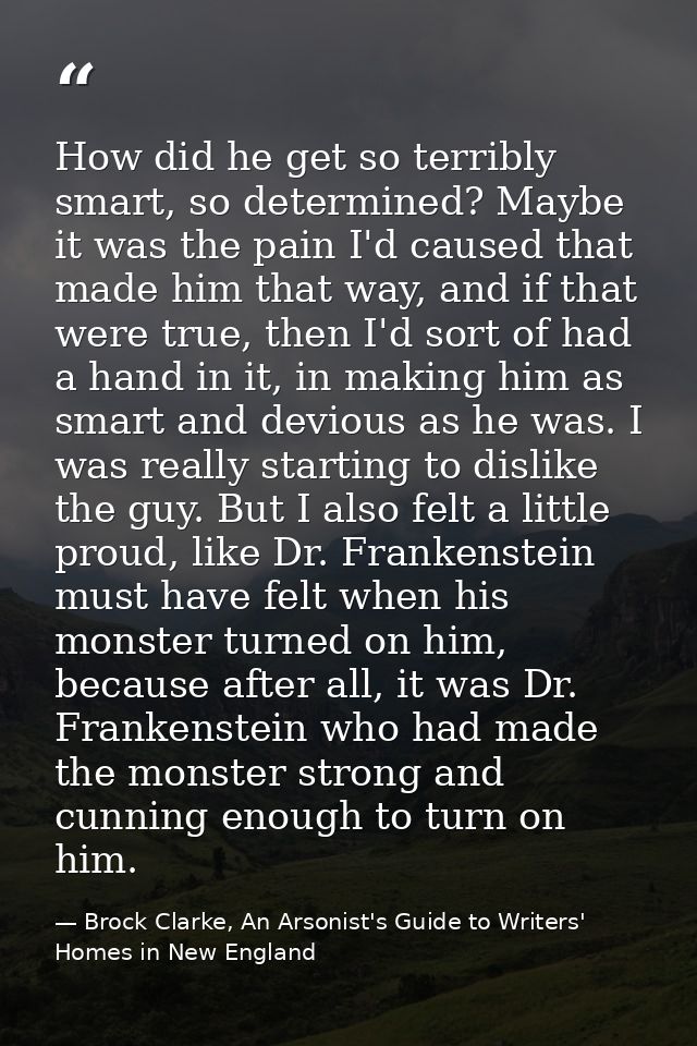 How did he get so terribly smart, so determined? Maybe it was the pain I'd caused that made him that way, and if that we — Brock Clarke, An Arsonist's Guide to Writers' Homes in New England