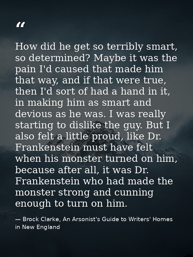 How did he get so terribly smart, so determined? Maybe it was the pain I'd caused that made him that way, and if that we — Brock Clarke, An Arsonist's Guide to Writers' Homes in New England