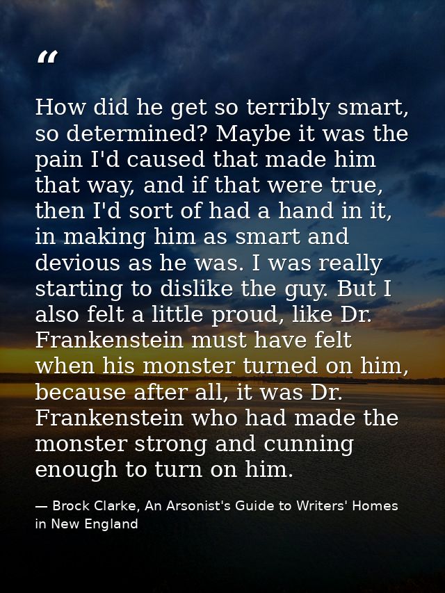 How did he get so terribly smart, so determined? Maybe it was the pain I'd caused that made him that way, and if that we — Brock Clarke, An Arsonist's Guide to Writers' Homes in New England
