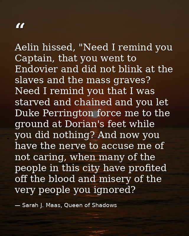 Aelin hissed, "Need I remind you Captain, that you went to Endovier and did not blink at the slaves and the mass graves? — Sarah J. Maas, Queen of Shadows