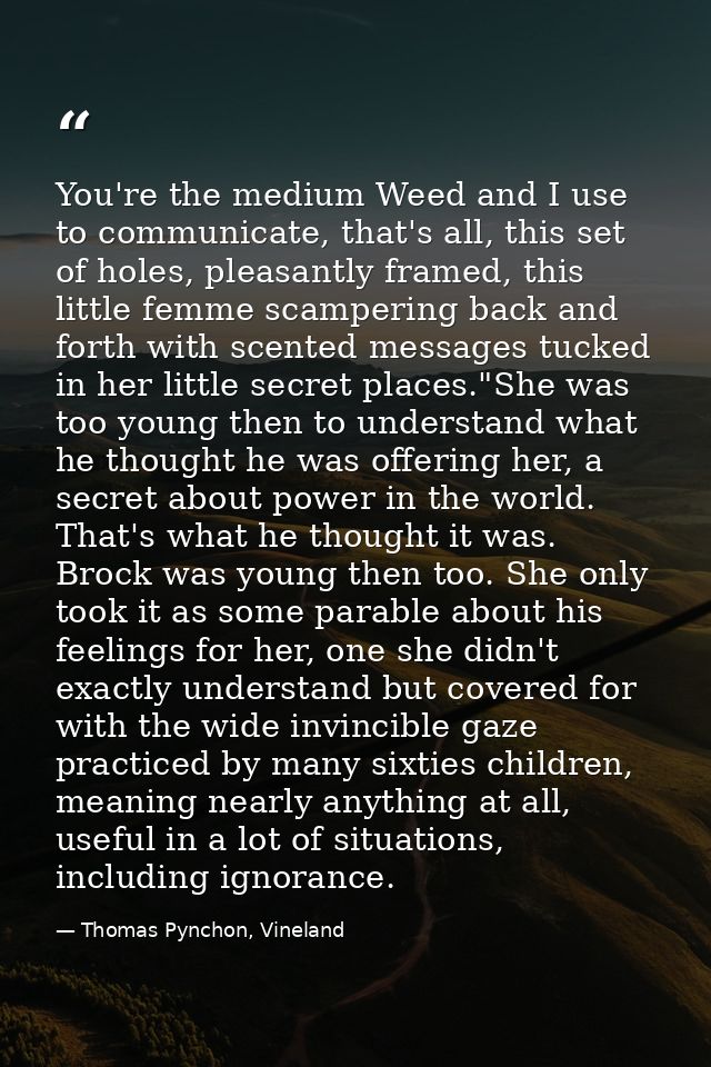 You're the medium Weed and I use to communicate, that's all, this set of holes, pleasantly framed, this little femme sca — Thomas Pynchon, Vineland