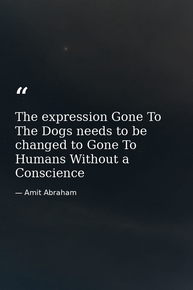 The expression Gone To The Dogs needs to be changed to Gone To Humans Without a Conscience — Amit Abraham