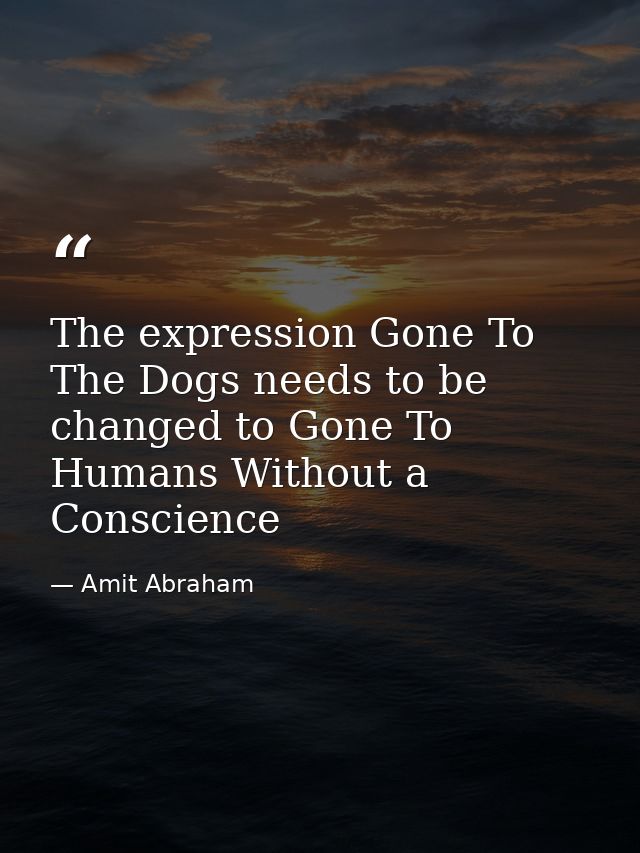 The expression Gone To The Dogs needs to be changed to Gone To Humans Without a Conscience — Amit Abraham