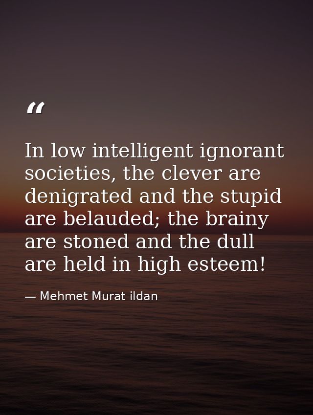 In low intelligent ignorant societies, the clever are denigrated and the stupid are belauded; the brainy are stoned and  — Mehmet Murat ildan
