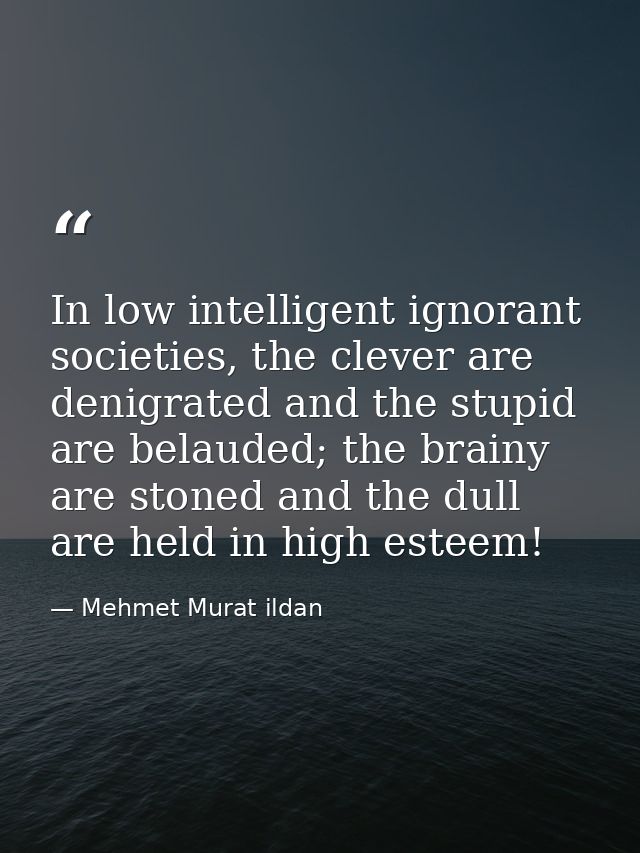 In low intelligent ignorant societies, the clever are denigrated and the stupid are belauded; the brainy are stoned and  — Mehmet Murat ildan
