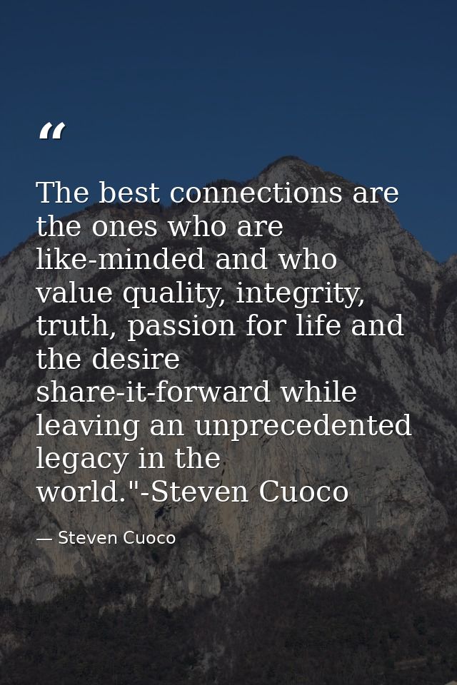 The best connections are the ones who are like-minded and who value quality, integrity, truth, passion for life and the  — Steven Cuoco
