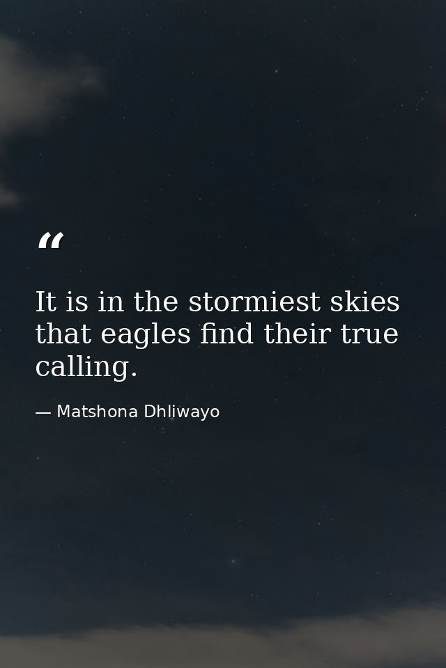 It is in the stormiest skies that eagles find their true calling. — Matshona Dhliwayo