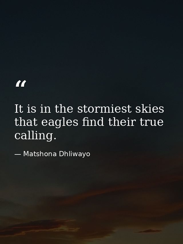 It is in the stormiest skies that eagles find their true calling. — Matshona Dhliwayo