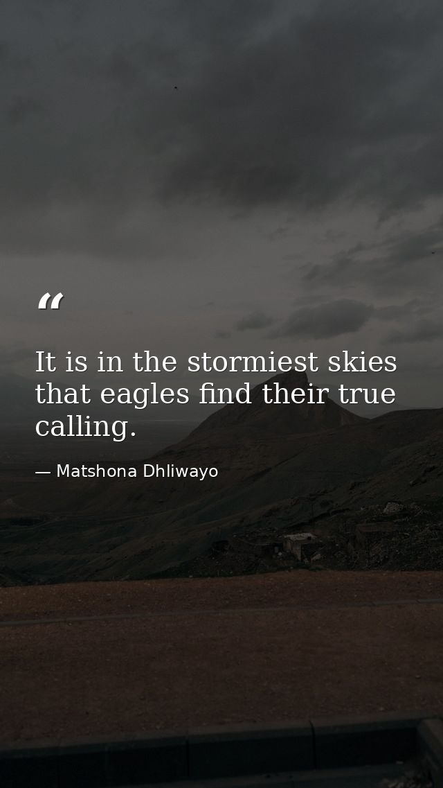 It is in the stormiest skies that eagles find their true calling. — Matshona Dhliwayo
