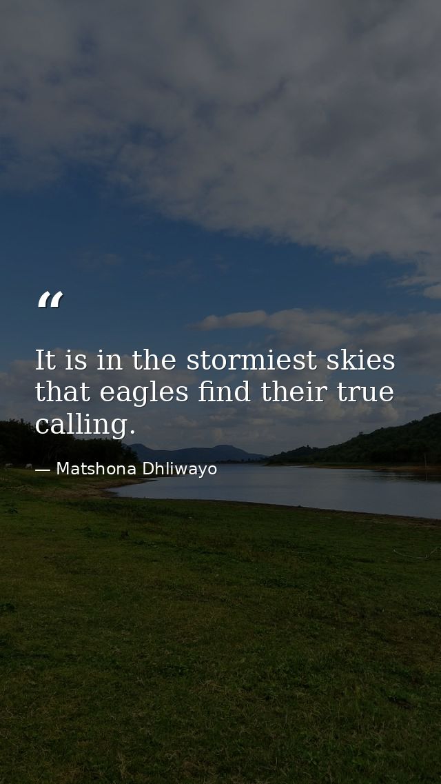 It is in the stormiest skies that eagles find their true calling. — Matshona Dhliwayo
