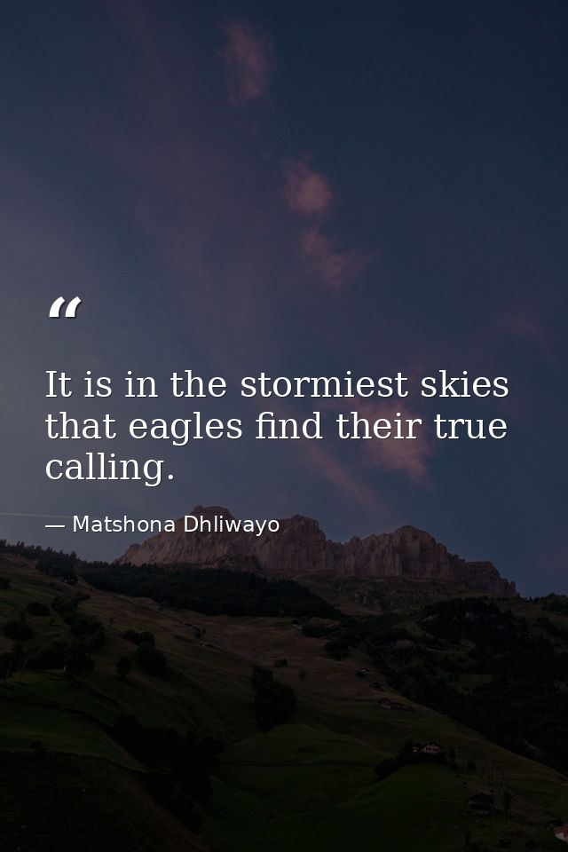 It is in the stormiest skies that eagles find their true calling. — Matshona Dhliwayo