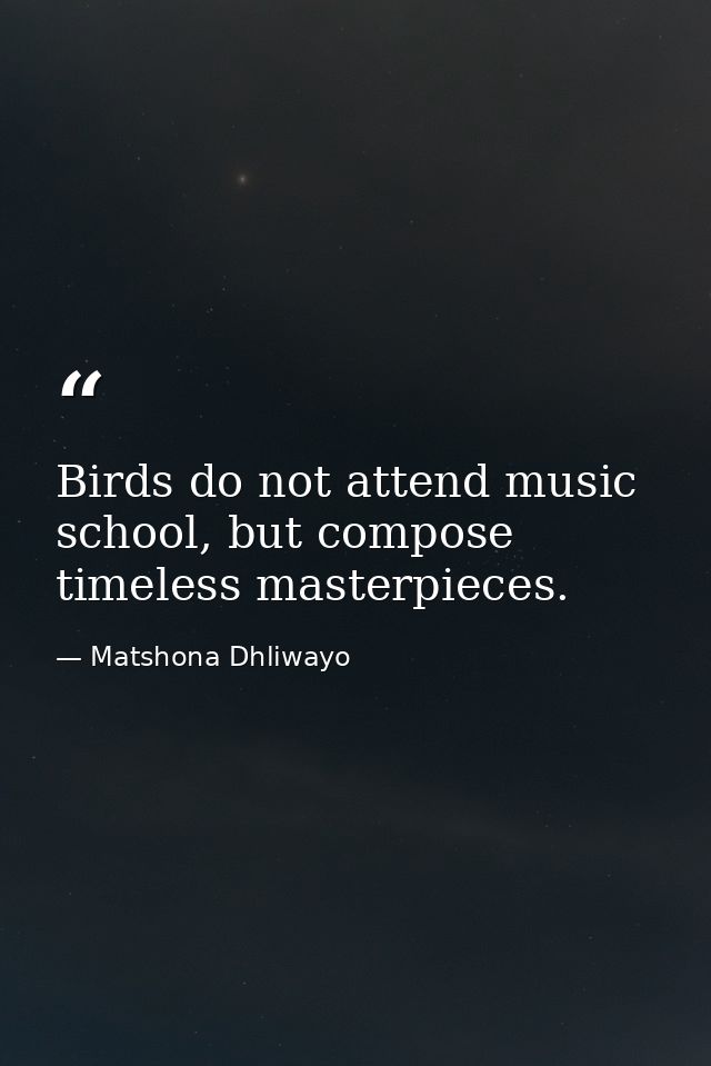 Birds do not attend music school, but compose timeless masterpieces. — Matshona Dhliwayo