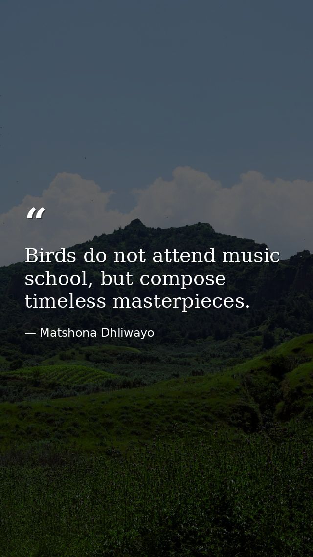 Birds do not attend music school, but compose timeless masterpieces. — Matshona Dhliwayo
