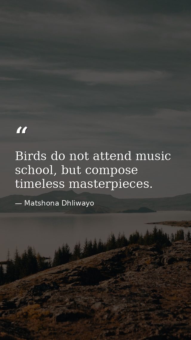 Birds do not attend music school, but compose timeless masterpieces. — Matshona Dhliwayo