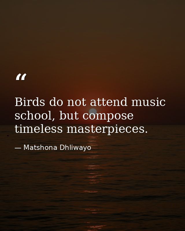 Birds do not attend music school, but compose timeless masterpieces. — Matshona Dhliwayo