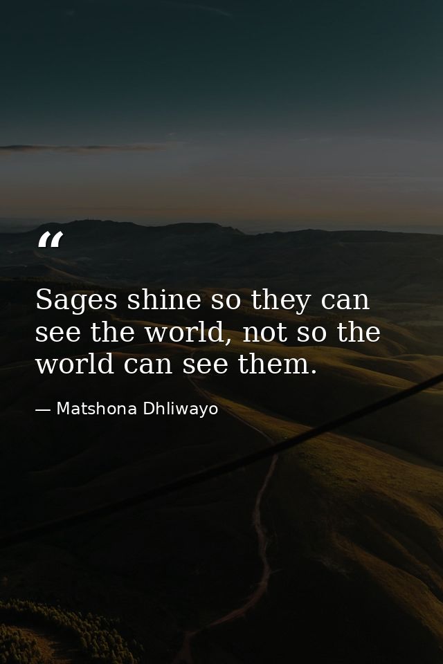 Sages shine so they can see the world, not so the world can see them. — Matshona Dhliwayo