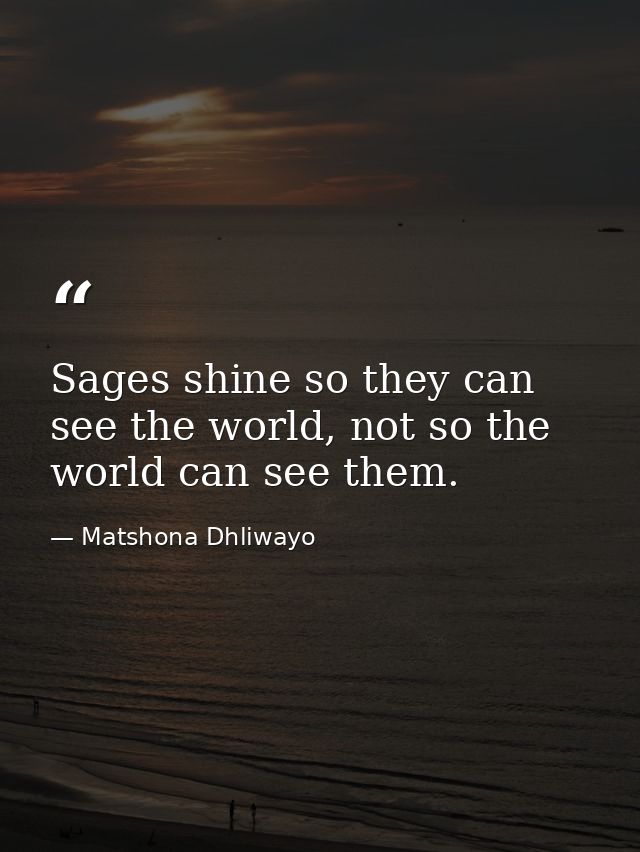 Sages shine so they can see the world, not so the world can see them. — Matshona Dhliwayo