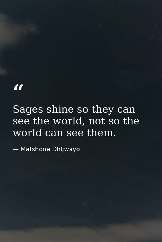 Sages shine so they can see the world, not so the world can see them. — Matshona Dhliwayo