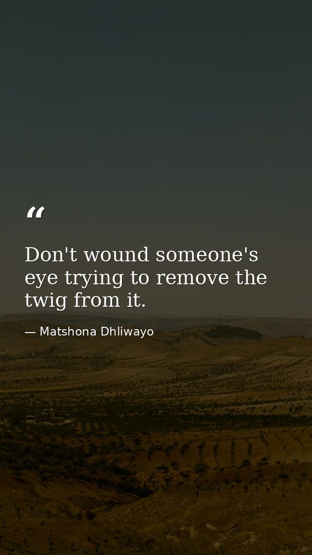 Don't wound someone's eye trying to remove the twig from it. — Matshona Dhliwayo