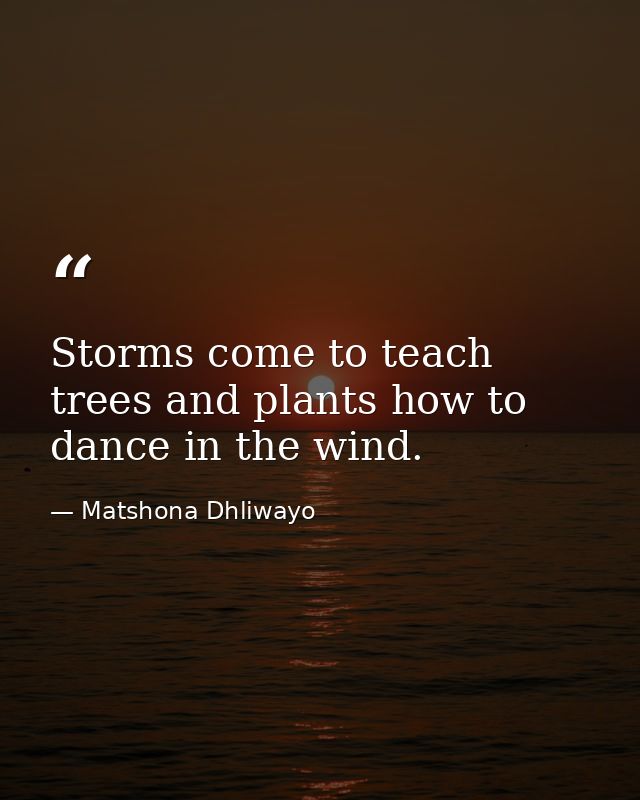 Storms come to teach trees and plants how to dance in the wind. — Matshona Dhliwayo