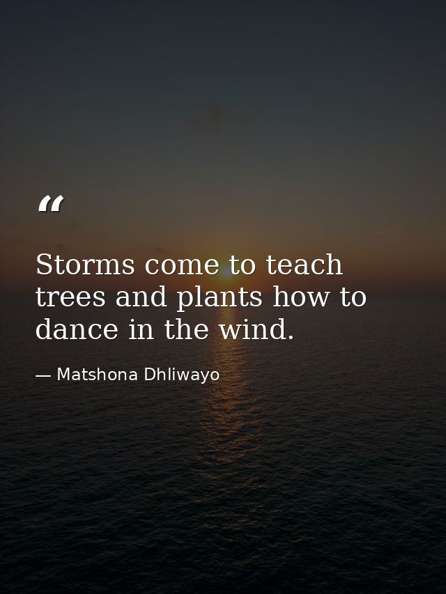Storms come to teach trees and plants how to dance in the wind. — Matshona Dhliwayo