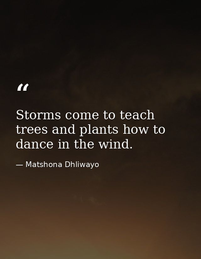 Storms come to teach trees and plants how to dance in the wind. — Matshona Dhliwayo