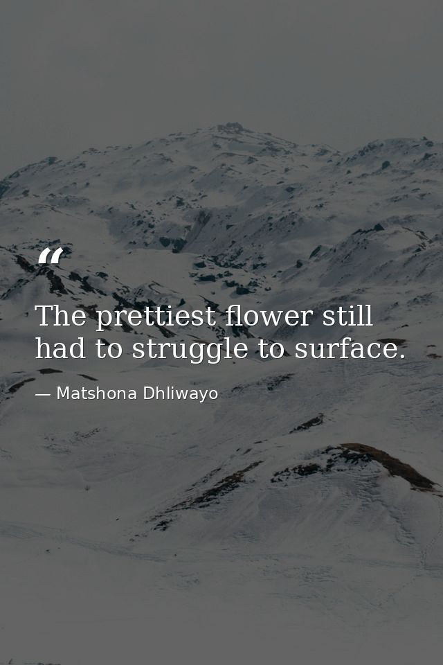 The prettiest flower still had to struggle to surface. — Matshona Dhliwayo