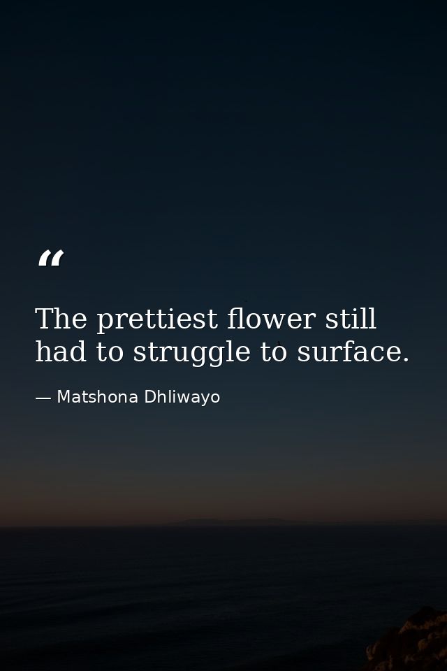 The prettiest flower still had to struggle to surface. — Matshona Dhliwayo
