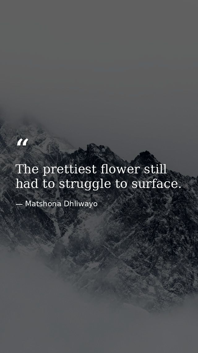 The prettiest flower still had to struggle to surface. — Matshona Dhliwayo
